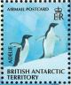 Colnect-4568-940-Adelie-Penguin-Pygoscelis-adeliae.jpg