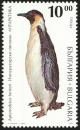 Colnect-5250-739-Emperor-Penguin-Aptenodytes-forsteri.jpg