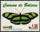 Colnect-5796-458-Dido-Longwing-Philaethria-dido.jpg