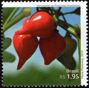 Colnect-2972-791-biquinho-Capsicum-chinense.jpg