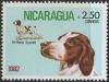 Colnect-1310-262-Brittany-Spaniel-Canis-lupus-familiaris.jpg