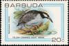 Colnect-1506-846-Yellow-crowned-Night-Heron-Nyctanassa-violacea.jpg