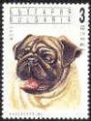 Colnect-449-624-Pug-Canis-lupus-familiaris.jpg