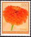 Colnect-5263-234-Zinnia-Zinnia-elegans.jpg