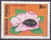 Colnect-586-499-Rose-Chafer-Cetonia-aurata-Dog-Rose-Rosa-canina.jpg