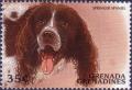 Colnect-2355-069-Springer-Spaniel-Canis-lupus-familiaris.jpg