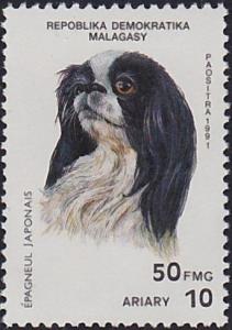 Colnect-503-160-Japanese-Spaniel-Canis-lupus-familiaris.jpg