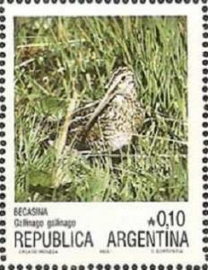 Colnect-1632-424-Common-Snipe-Gallinago-gallinago.jpg