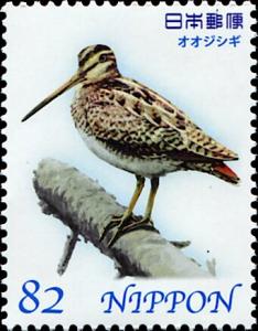 Colnect-5524-190-Latham-s-Snipe-Gallinago-Hardwickii.jpg