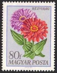 Colnect-590-862-Zinnia-Zinnia-elegans.jpg