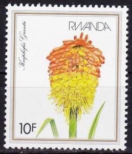 Colnect-3622-535-Kniphofia-grantii.jpg