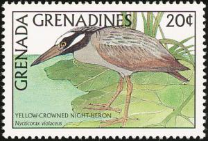 Colnect-2193-342-Yellow-crowned-Night-Heron-Nyctanassa-violacea.jpg