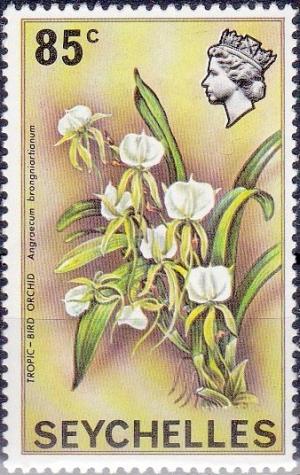 Colnect-2612-565-Angraecum-brongniartianum---Tropic-Bird-Orchid.jpg