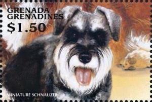 Colnect-4385-337-Miniature-schnauzer.jpg