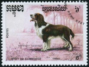 Colnect-4445-044-Springer-Spaniel-Canis-lupus-familiaris.jpg