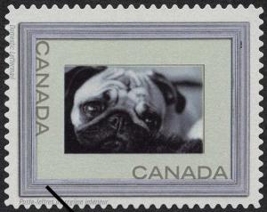 Colnect-576-933-Pug-Canis-lupus-familiaris.jpg