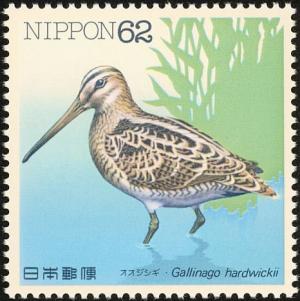 Colnect-608-826-Latham-s-Snipe-Gallinago-haedwickii.jpg