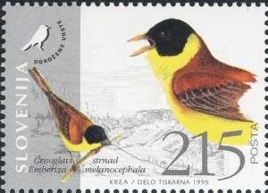 Colnect-683-972-Fauna-of-Slovenia---Emberiza-melanocephala.jpg