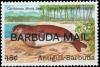 Colnect-5151-104-Caribbean-Monk-Seal-Monachus-tropicalis.jpg