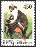 Colnect-1079-273-Diana-Monkey-Cercopithecus-diana.jpg