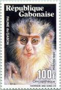 Colnect-2790-141-Allen-s-Swamp-Monkey-Allenopithecus-nigroviridis.jpg