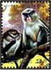 Colnect-2258-495-Mona-Monkey-Cercopithecus-mona.jpg