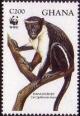 Colnect-1718-796-Diana-Monkey-Cercopithecus-diana.jpg