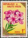 Colnect-507-616-Oldenlandia-grandiflora.jpg