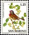 Colnect-1687-602-Common-Linnet-Carduelis-cannabina.jpg