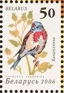 Colnect-1055-972-Common-Linnet-Carduelis-cannabina.jpg