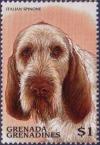 Colnect-2355-071-Italian-Spinone-Canis-lupus-familiaris.jpg