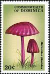 Colnect-3028-970-Inocybe-fastigiata.jpg