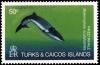 Colnect-3991-001-Balaenoptera-Acutorostrata.jpg