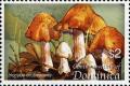 Colnect-3058-945-Inocybe-erubescens.jpg