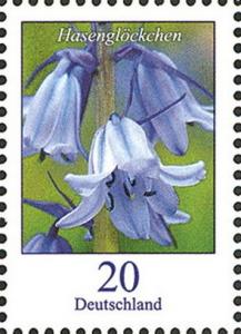 Colnect-4295-598-Hyacinthoides-non-scripta---Common-bluebell.jpg