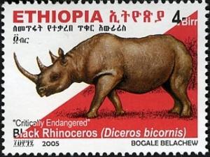 Colnect-1611-533-Black-Rhinoceros-Diceros-bicornis.jpg