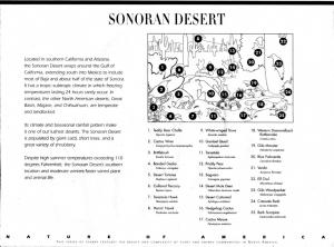 Colnect-2065-711-Sonoran-Desert-back.jpg