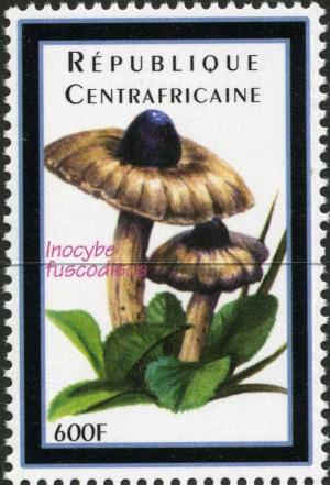 Colnect-3012-783-Inocybe-fuscodisca.jpg