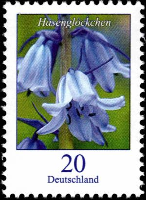 Colnect-5205-849-Hyacinthoides-non-scripta---Common-bluebell.jpg