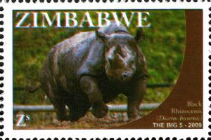 Colnect-554-165-Black-Rhinoceros-Diceros-bicornis.jpg