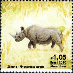 Colnect-747-214-Black-Rhinoceros-Diceros-bicornis.jpg