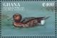 Colnect-1718-823-Ferruginous-Duck-Aythya-nyroca.jpg