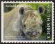 Colnect-4934-819-Black-Rhinoceros-Diceros-bicornis.jpg