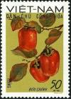 Colnect-5876-701-Persimmons-Diospyros-virginiana.jpg