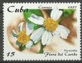 Colnect-4481-109-Bidens-pilosa-romerillo.jpg