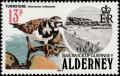 Colnect-4565-913-Ruddy-Turnstone-Arenaria-interpres.jpg