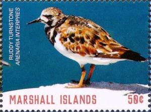 Colnect-5997-838-Ruddy-Turnstone-Arenaria-interpres.jpg