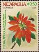 Colnect-4001-157-Poinsettia-pulcherrima.jpg