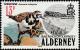 Colnect-4565-913-Ruddy-Turnstone-Arenaria-interpres.jpg