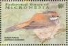 Colnect-1620-569-Rufous-Fantail-Rhipidura-rufifrons.jpg